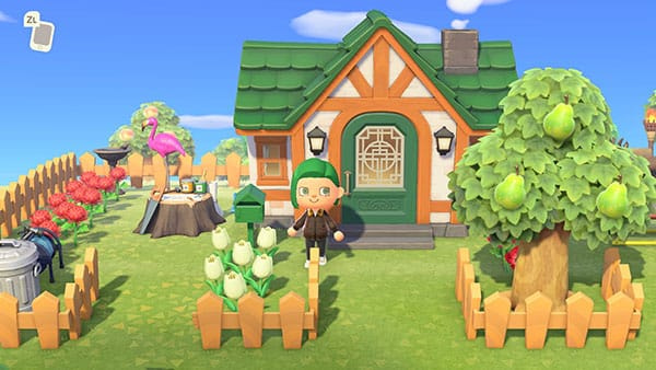 Animal Crossing