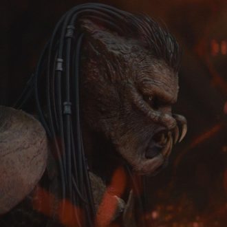 Predator