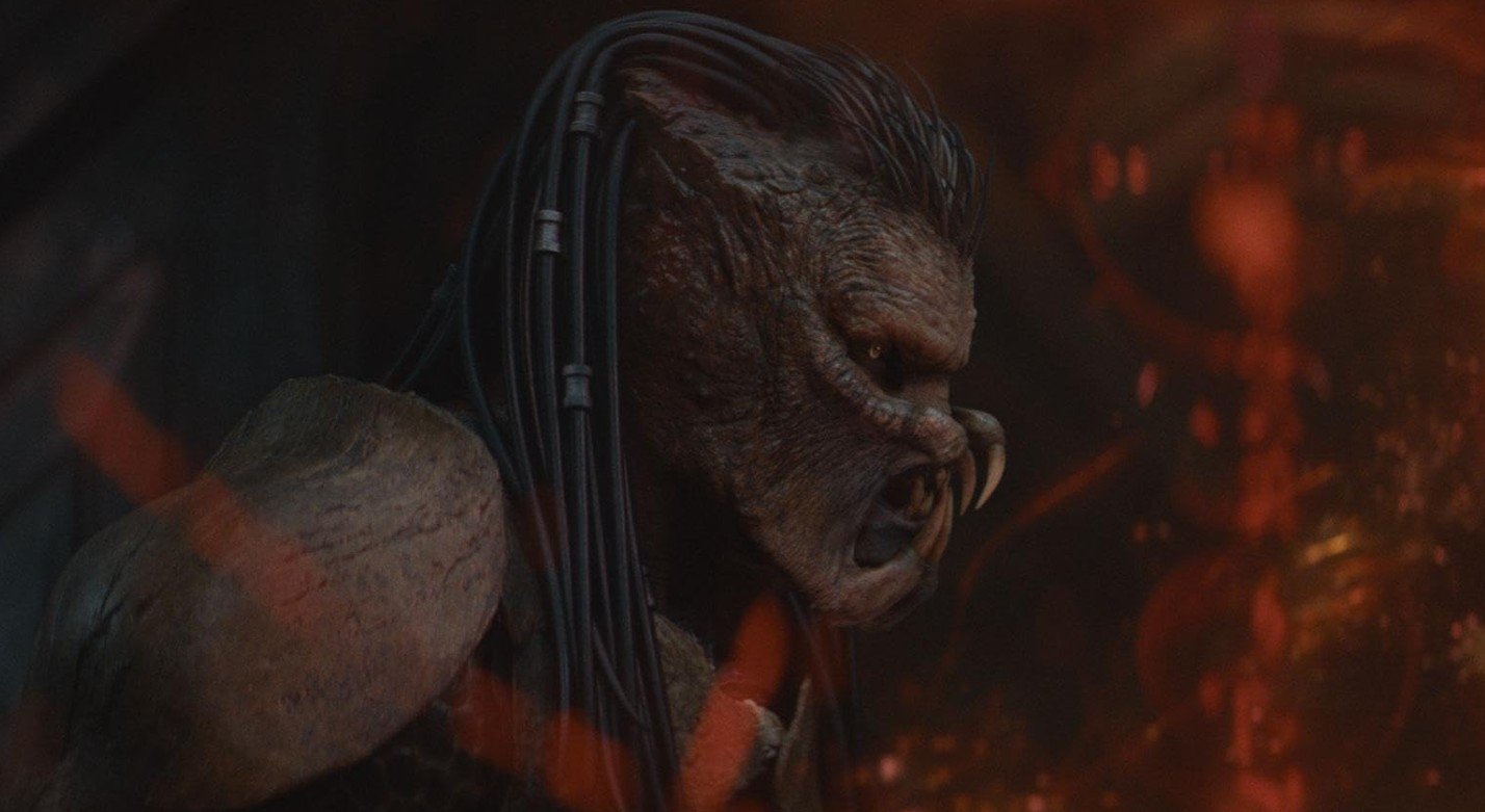 Predator